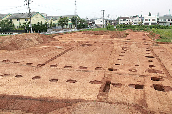 政庁の建物跡の写真