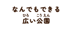 何でもできる広い公園