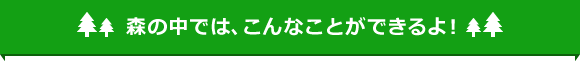 森の中では、こんなことができるよ！