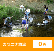 カワニナ放流 0円