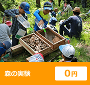 森の実験 ０円