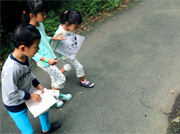 自然観察ウォーク