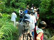 自然を感じる観察会