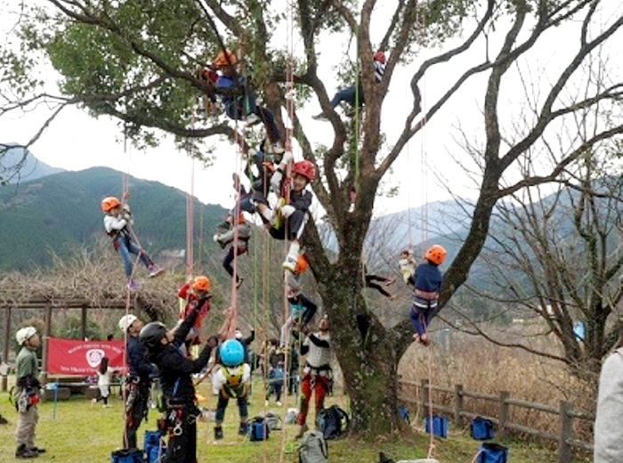 わくわく木登りツリーイング