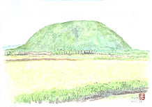 丸山のイラスト