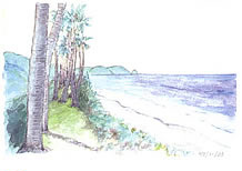 西方海岸のイラスト