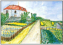 ４.風の見える丘公園（唐津市呼子町）