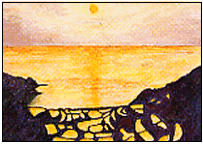 ７.浜野浦の棚田（玄海町）