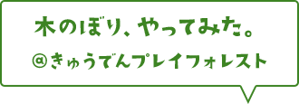 木のぼり、やってみた。@きゅうでんプレイフォレスト