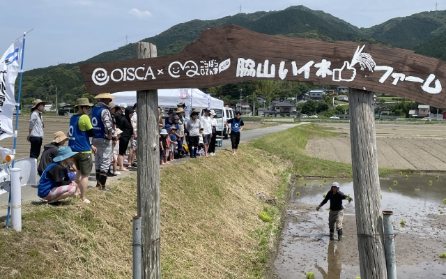 「こらぼらQでんeco」の取組み「米作りプロジェクト～田植え～」を開催のようす