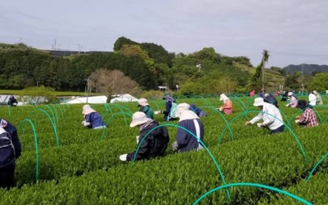 地域復興に向けた取り組みのようす"
