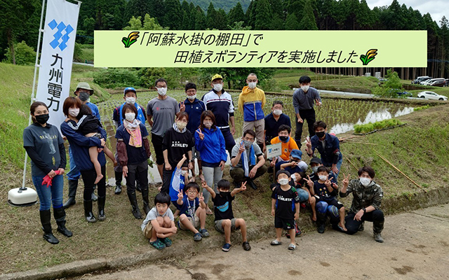 「阿蘇水掛の棚田」で田植えボランティアを行いました！のイメージ
