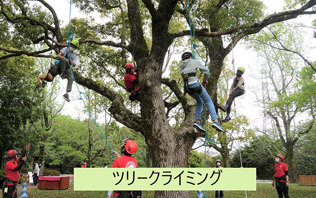‐「きゅうでんプレイフォレスト2022 in 油山市民の森」のイメージ