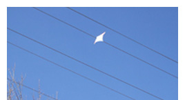 釣りや凧揚げは電線のない場所でお願いします