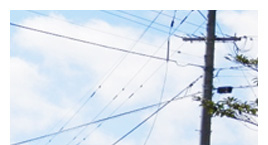 切れた電線に近づいたり、触ったりしないでください