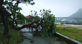 災害時はここに注意