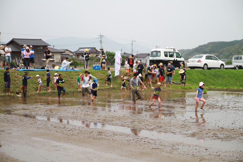 みんなでワイワイ、田植えを行ないましたの写真１
