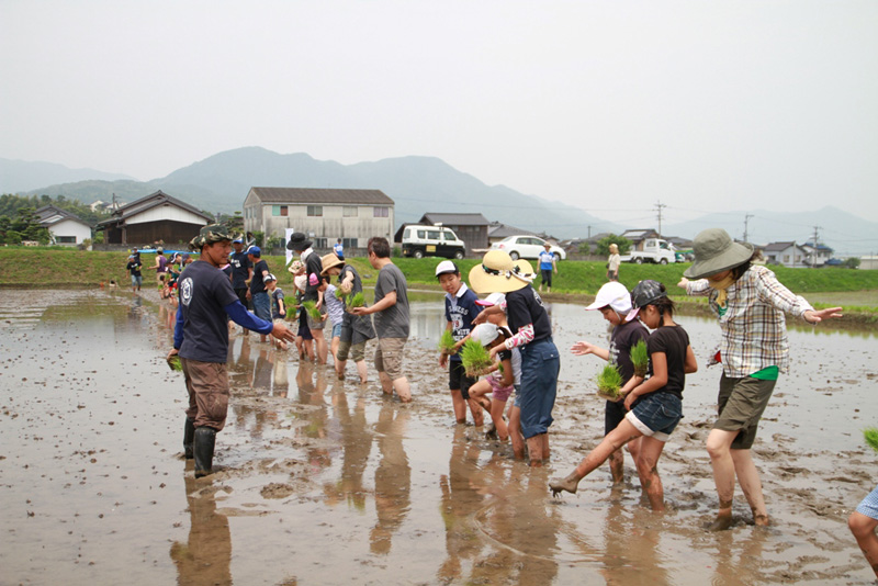 みんなでワイワイ、田植えを行ないましたの写真２