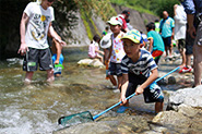 小川で川遊びの写真2