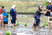 雨の田植えを楽しみました!の写真2