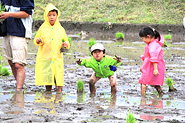 雨の田植えを楽しみました!の写真3