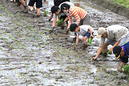 雨の田植えを楽しみました！の写真６