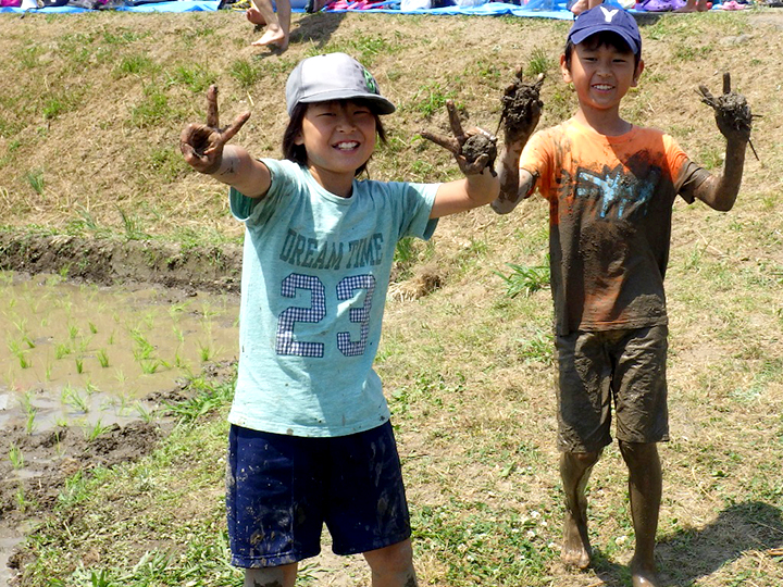 田植えの写真3