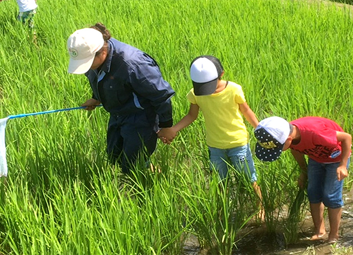 オイスカ研修生にエスコートされながらの散策の写真3