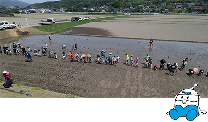 田植えの様子の写真