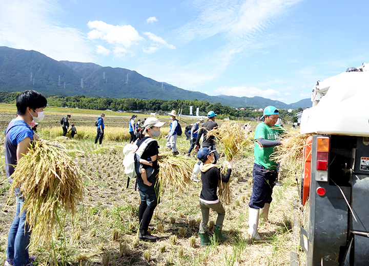 脱穀体験の写真1