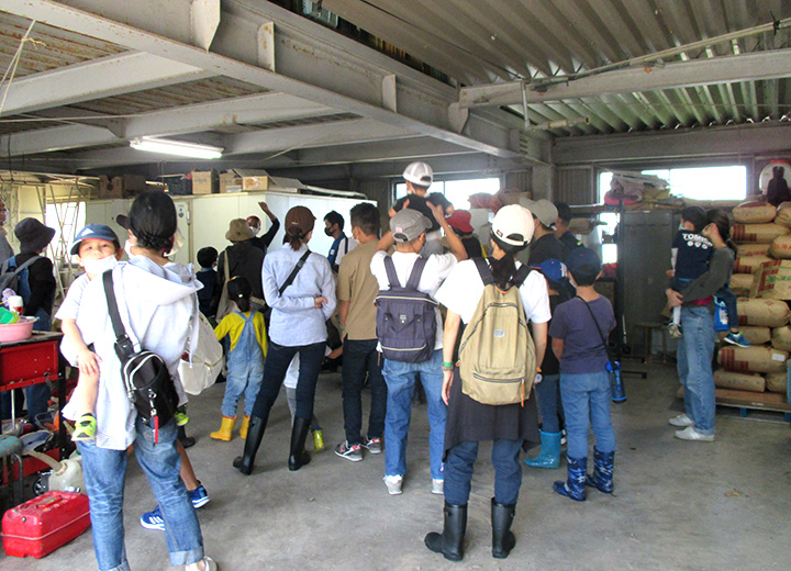 収穫後の作業過程についての説明写真