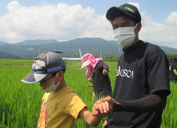 田んぼの散策の写真3