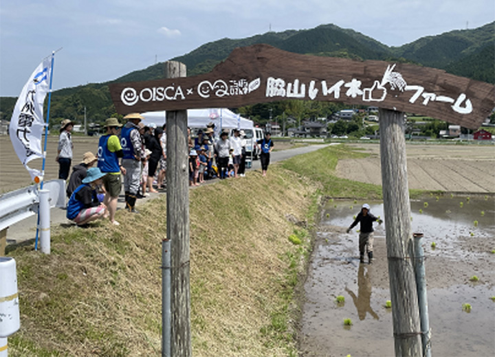 稲刈り体験の写真1