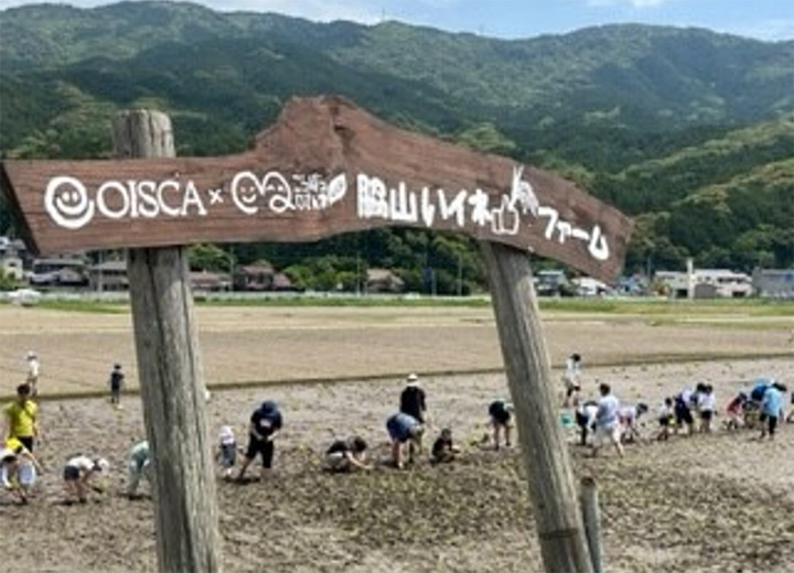 稲刈り体験の写真6