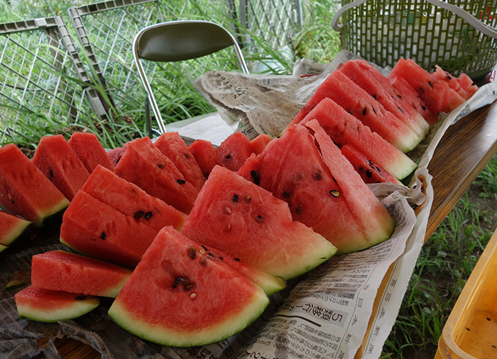 スイカの写真4