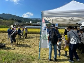 稲刈り体験の写真1