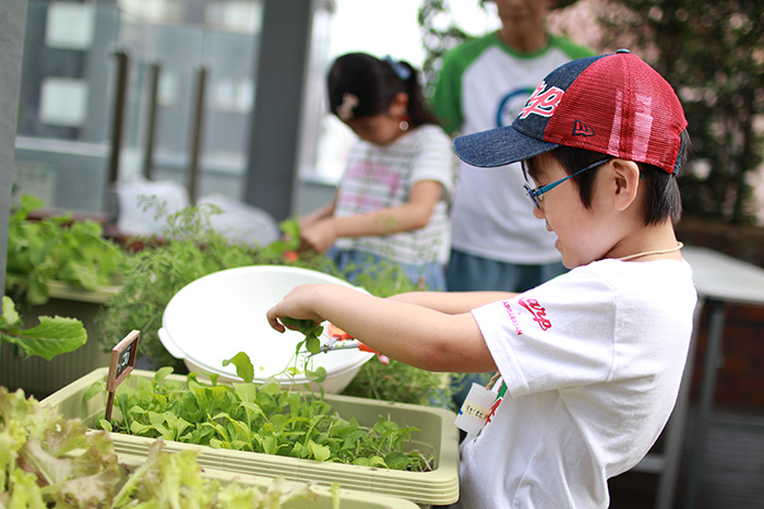 くるくる農園の写真