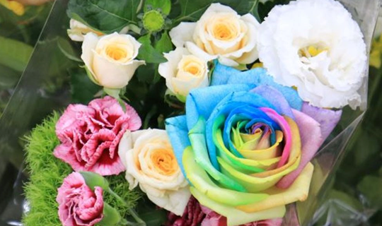 佐賀にて販売会を実施の写真