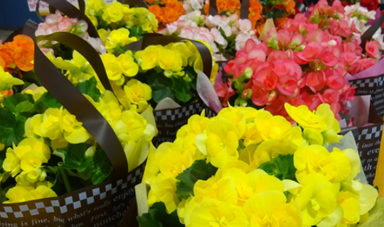 長崎にて販売会を実施の写真