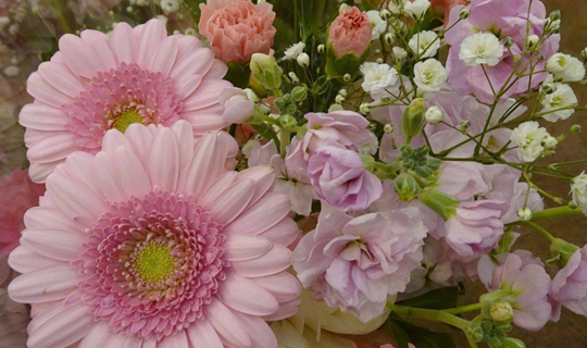 福岡にて販売会を実施の写真