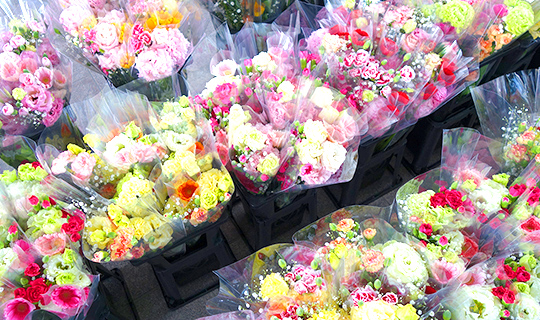 福岡にて販売会を実施の写真