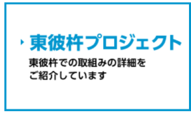 東彼杵町プロジェクト