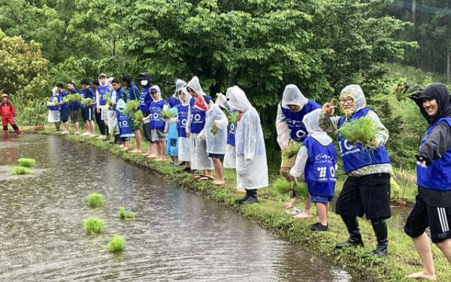 「阿蘇水掛の棚田」で田植えボランティアのようす