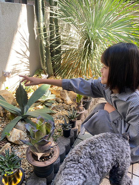 植物３