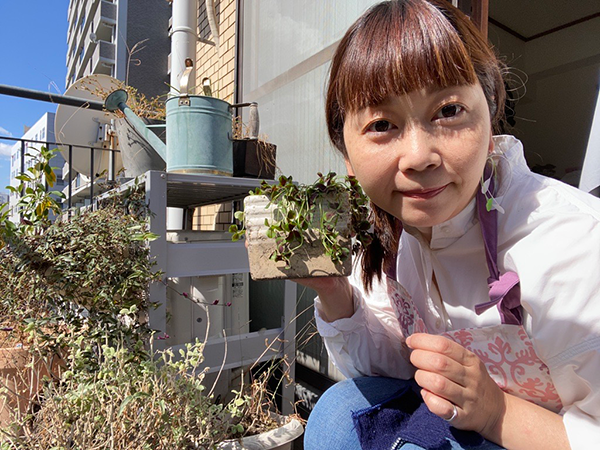 植物２