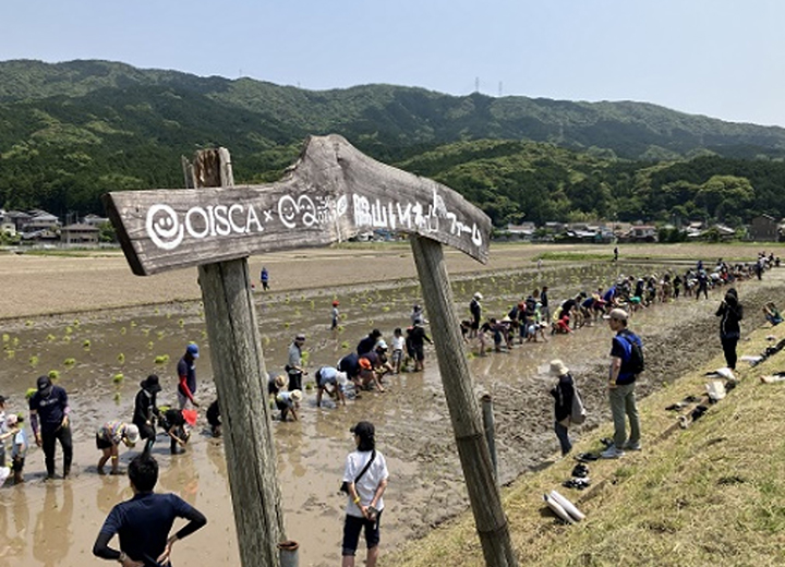 田植え体験の写真1 田植え体験の写真1