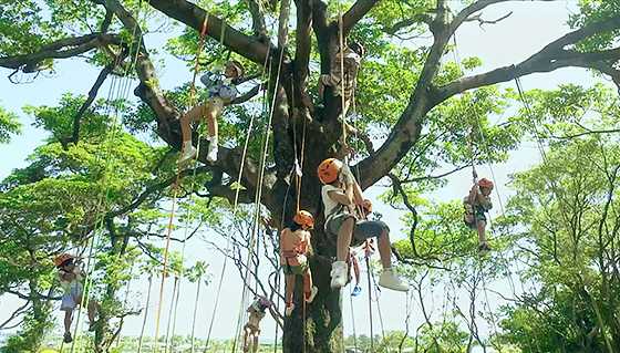 輝くみらい篇(地域・社会共生活動) 動画(別ウィンドウ)