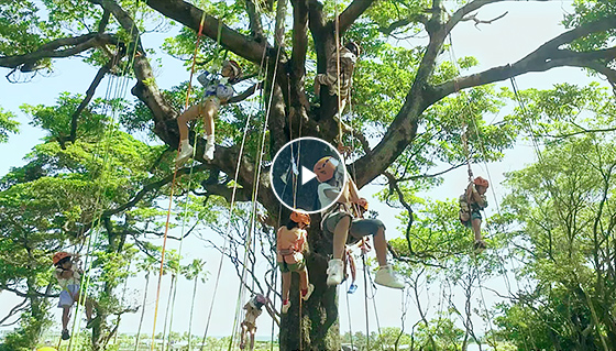 輝くみらい篇(地域・社会共生活動) 動画(別ウィンドウ)