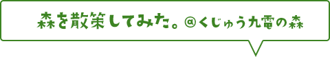 森を散策してみた。@くじゅう九電の森