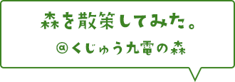 森を散策してみた。@くじゅう九電の森